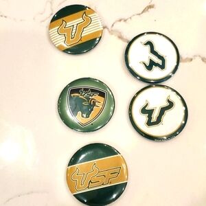 University of South Florida Pins